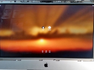 Riparazione iMac 21&rdquo; 2009 con Artefatti Video e Schermo Bianco