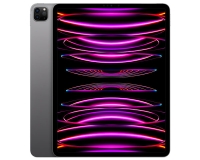 iPad Pro 12,9&amp;quot; (M4)